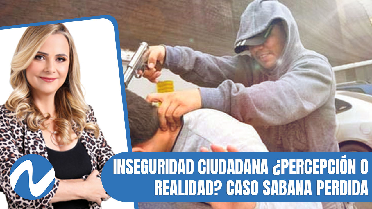 Inseguridad Ciudadana ¿percepción O Realidad? Caso Sabana Perdida (1/2)