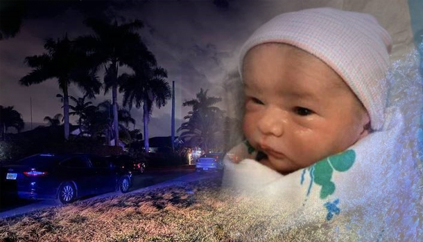 Investigan Triple Homicidio Y Secuestro De Recien Nacido – AlRojoVivo