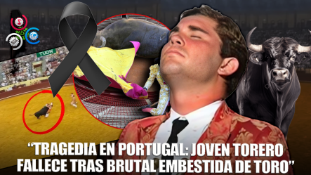 Joven Torero Pierde La Vida En Su Debut Tras Ataque De Toro En Portugal