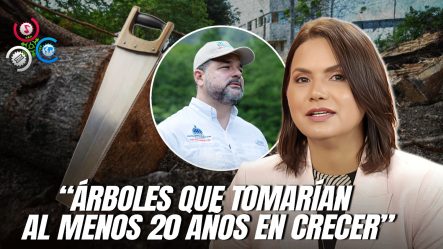 Julissa Céspedes: “Sorprende Que El Ministro De Medio Ambiente Justifique La Tala De árboles”