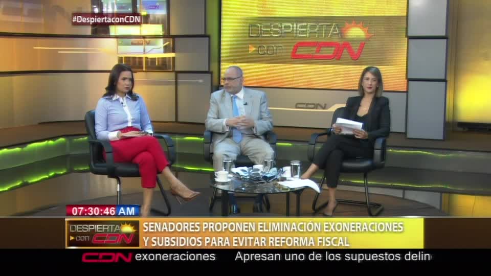 Julissa Céspedes Sobre Exoneraciones: “Es Un Vulgar Saqueo Al Estado Dominicano”