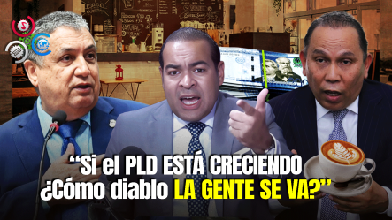 Kalil Michel Asegura Que El PLD Debe Escoger A Un Candidato Presidencial Rápido