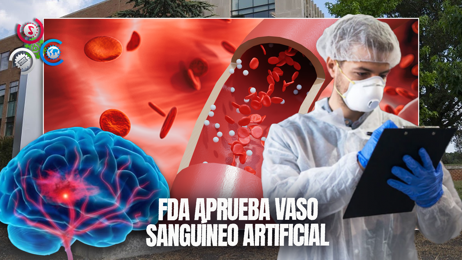 La FDA Aprueba El Uso De Vaso Sanguíneo Creado En Laboratorio