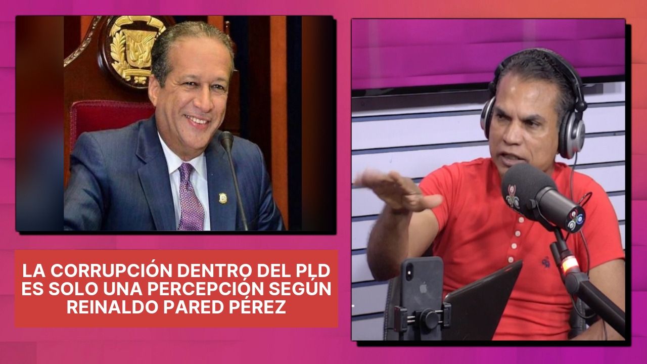 La Corrupción Dentro Del PLD Es Solo Una Percepción Según Reinaldo Pared Pérez