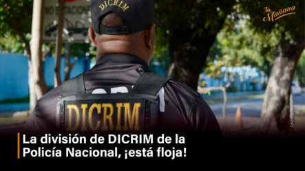 La División De DICRIM De La Policía Nacional, ¡Está Floja! – Tu Mañana By Cachicha