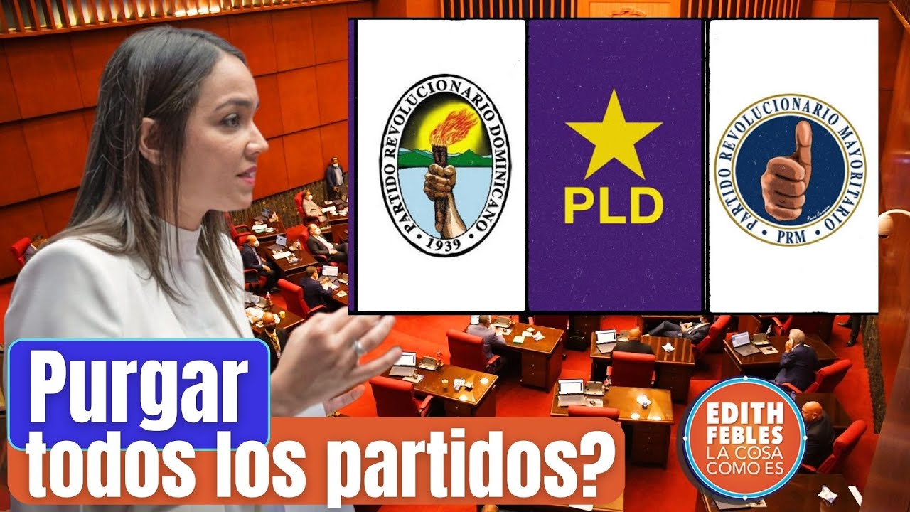 La Senadora Faride Raful Causa Revuelo Al Decir Que “se Debe Purgar La Política”