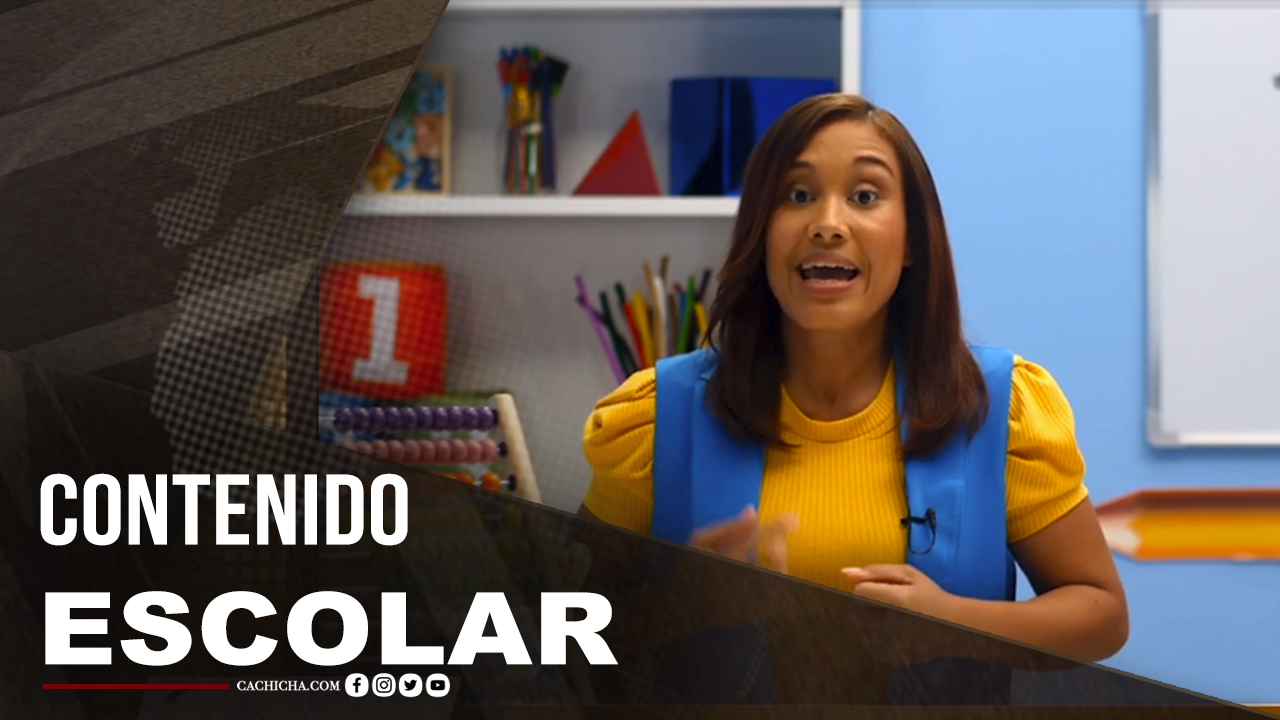 La Super Calidad Del Contenido Escolar