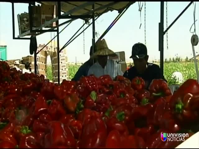 Las Cinco Carreras Mejor Remuneradas En 2015 Cachicha