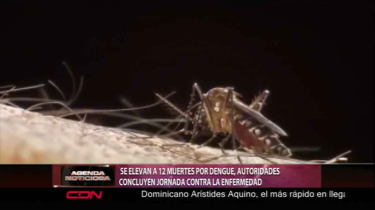 Se Elevan A 12 Muertos Por Dengue