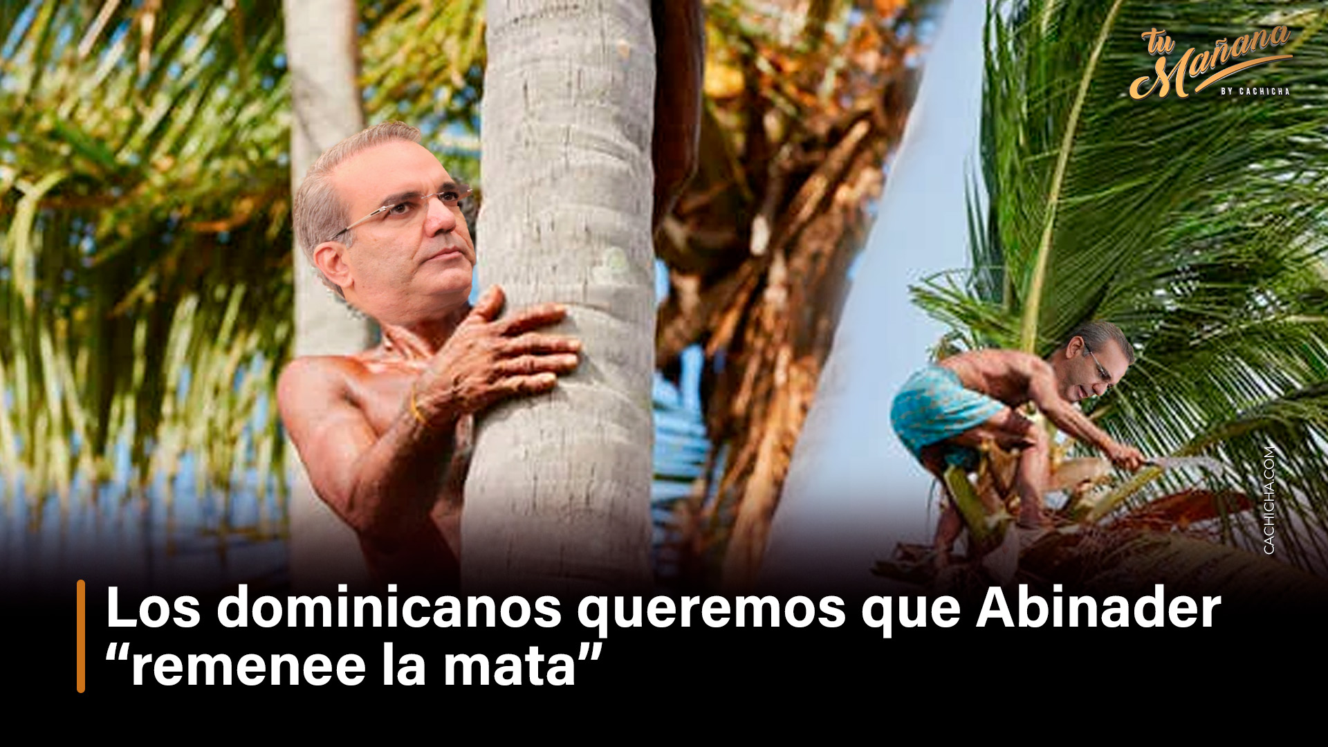 Los Dominicanos Queremos Que Abinader “remenee La Mata”