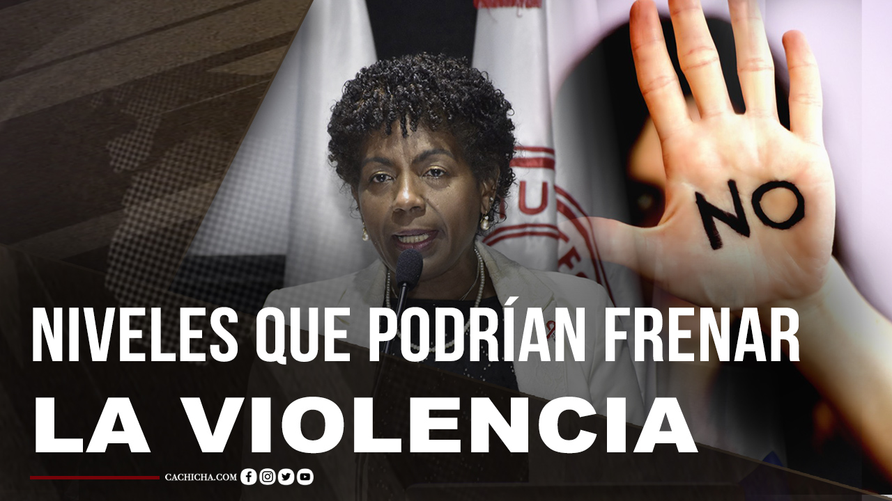 Los Niveles Que Podrían Frenar El Tema De La Violencia En El País