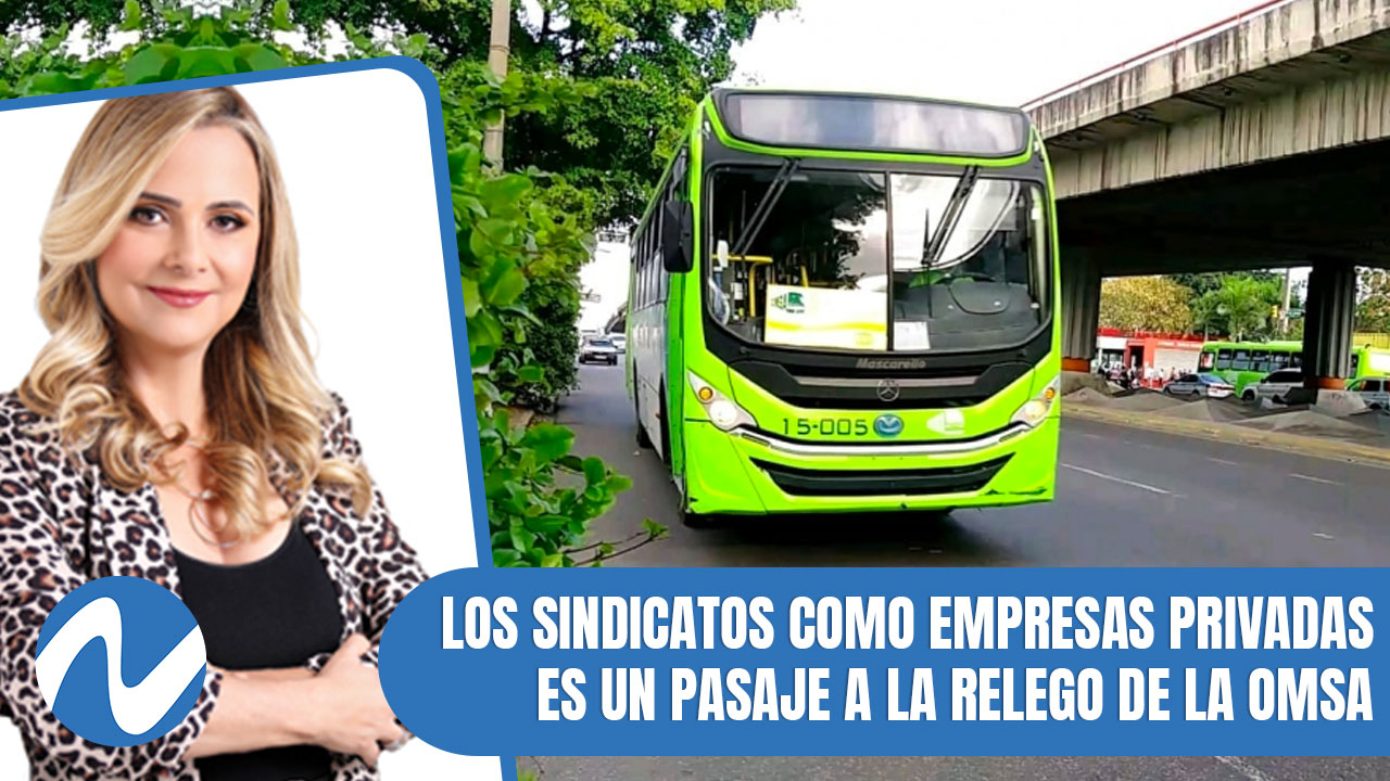 Los Sindicatos Como Empresas Privadas Es Un Pasaje A La Relego De La OMSA | Nuria Piera
