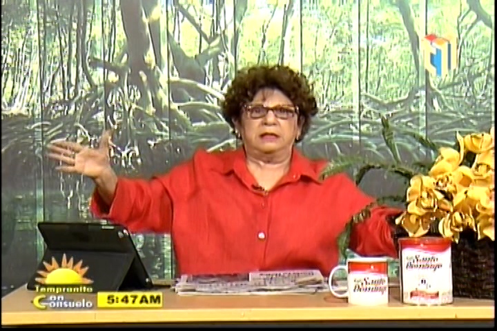 Consuelo Despradel: Ahora Los Verdes Quieren Una Guerra Civil