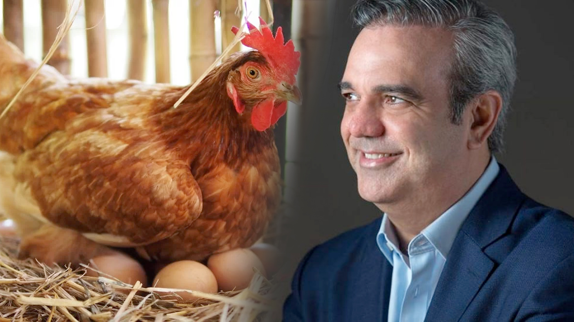 Lo’ Huevo Que Ta’ Poniendo Luis Abinader