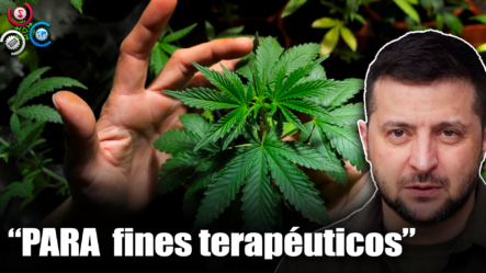 Zelenski Legaliza El Uso De Marihuana Con Fines Terapéuticos