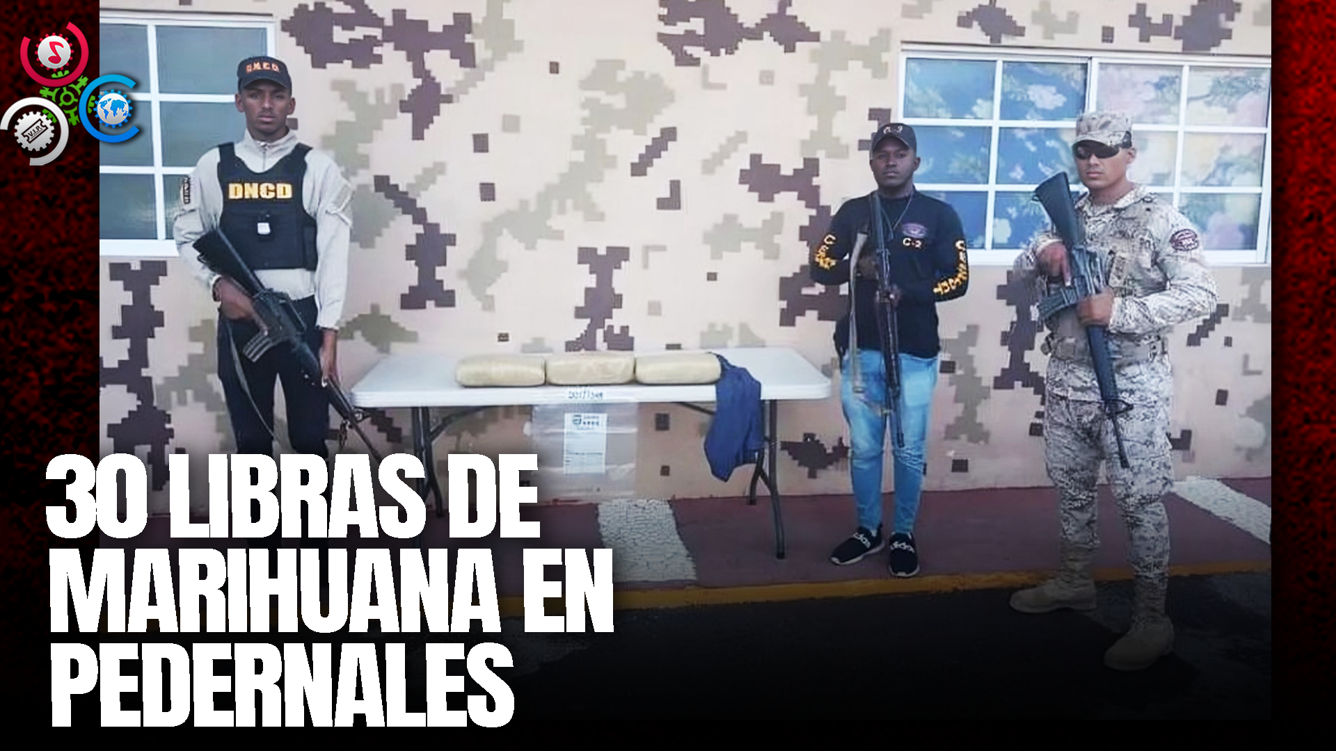 Cesfront Y DNCD Ocupan 30 Libras De Marihuana En Pedernales