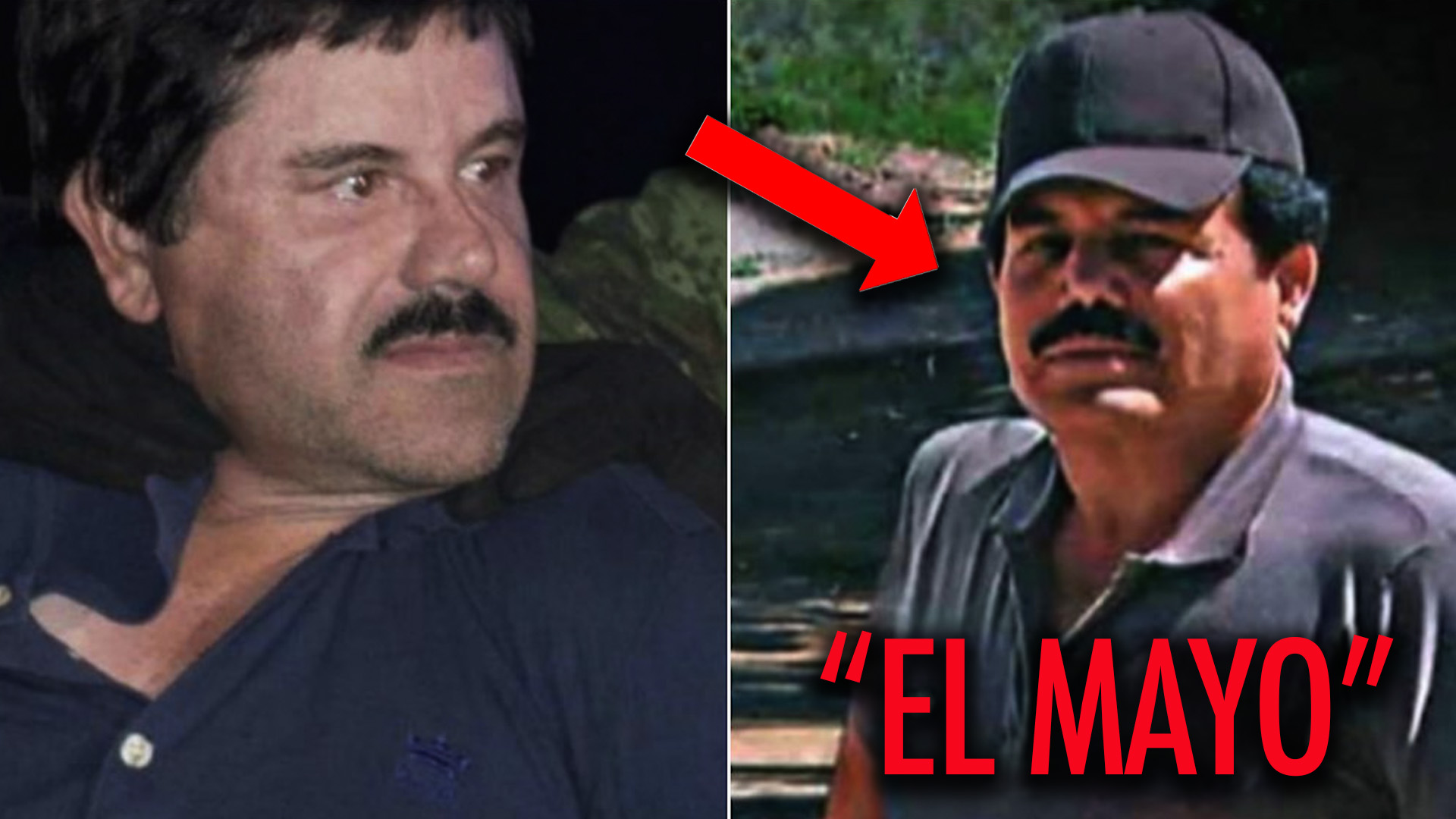 Mira Por Qué La DEA No Ha Dado Con El Narcotraficante “el Mayo” En Más De 30 Años