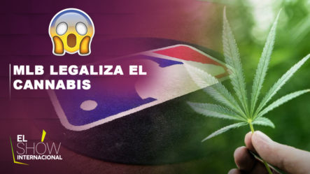 La MLB Legaliza El Cannabis Tras Nuevo Acuerdo Antidopaje