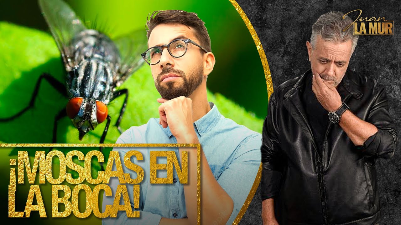 ¡MOSCAS EN LA BOCA! (La Mur Explica Las Creencias Que Convierten Su Vida En Un Infierno)