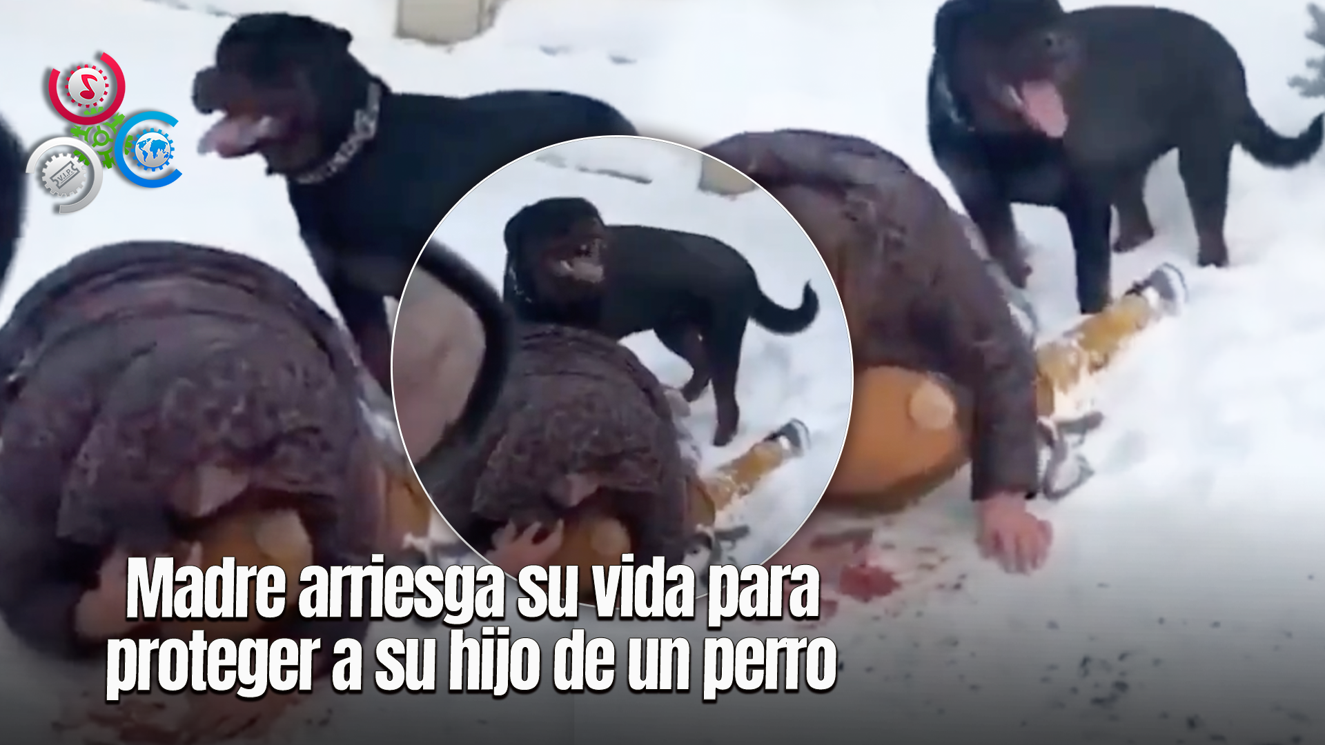 Madre Resulta Gravemente Herida Al Defender A Su Hijo De Un Ataque De Perro Rottweiler