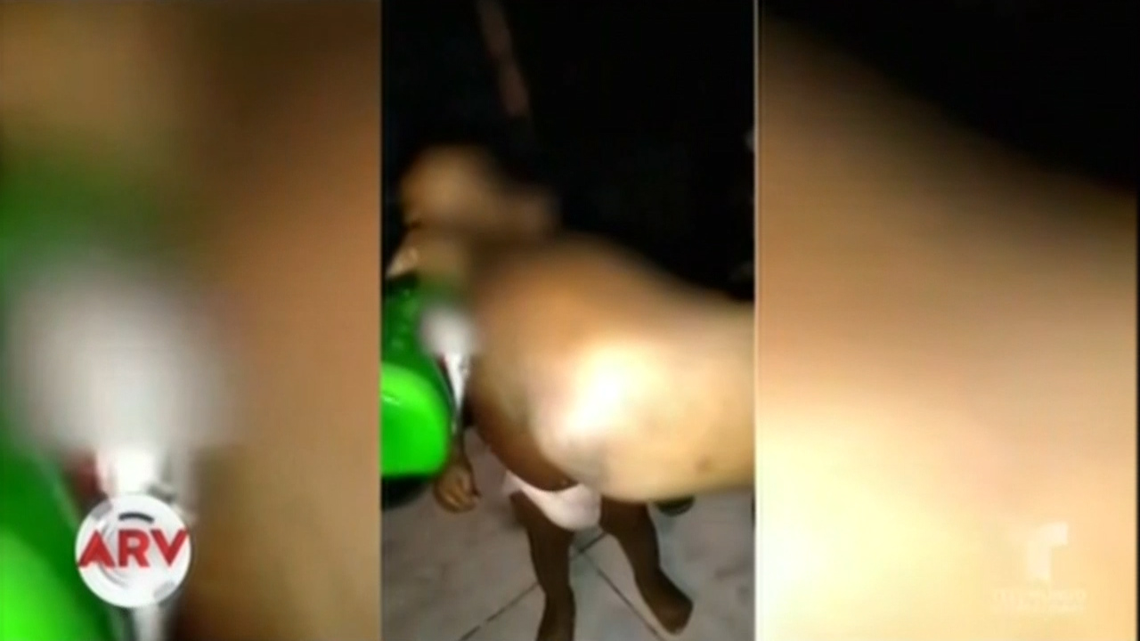 Graban A Mujer Dándole Cerveza A Su Bebé