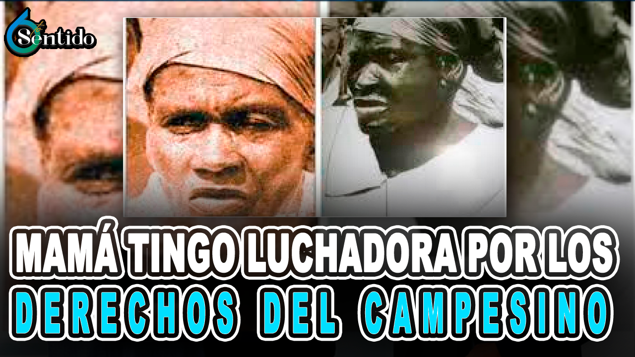 Mamá Tingo Luchadora Por Los Derechos Del Campesino – 6to Sentido By Cachicha