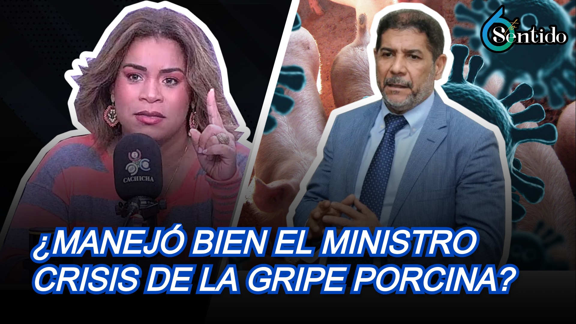 ¿Manejó Bien El Ministro De Agricultura La Crisis De La Gripe Porcina? | 6to Sentido