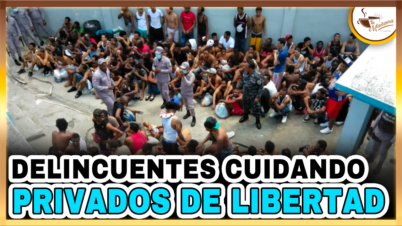 Manuel Rojas – Delincuentes Cuidando A Privados De Libertad | Tu Mañana By Cachicha