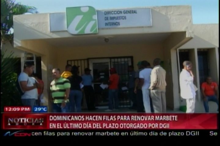 Dominicanos Hacen Filas Para Renovar Marbete En El Último Día Del Plazo Otorgado Por DGII