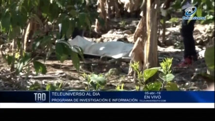 Matan Hombre Robaba Plátanos Y Aguacates En Canca La Piedra, Tamboril