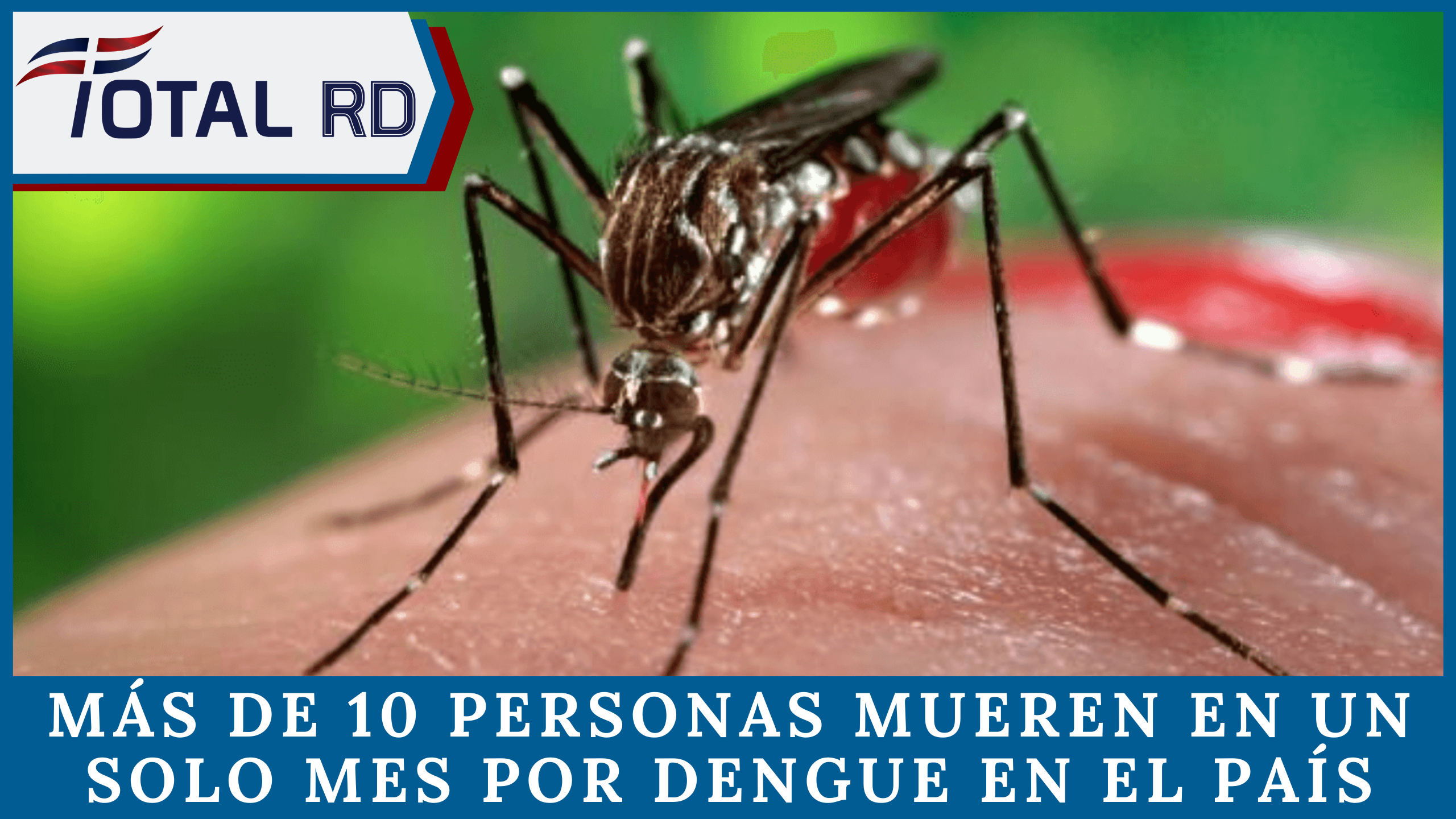 Más De 10 Personas Mueren En Un Mes Por Dengue En El País Según Boletín Epidemiológico