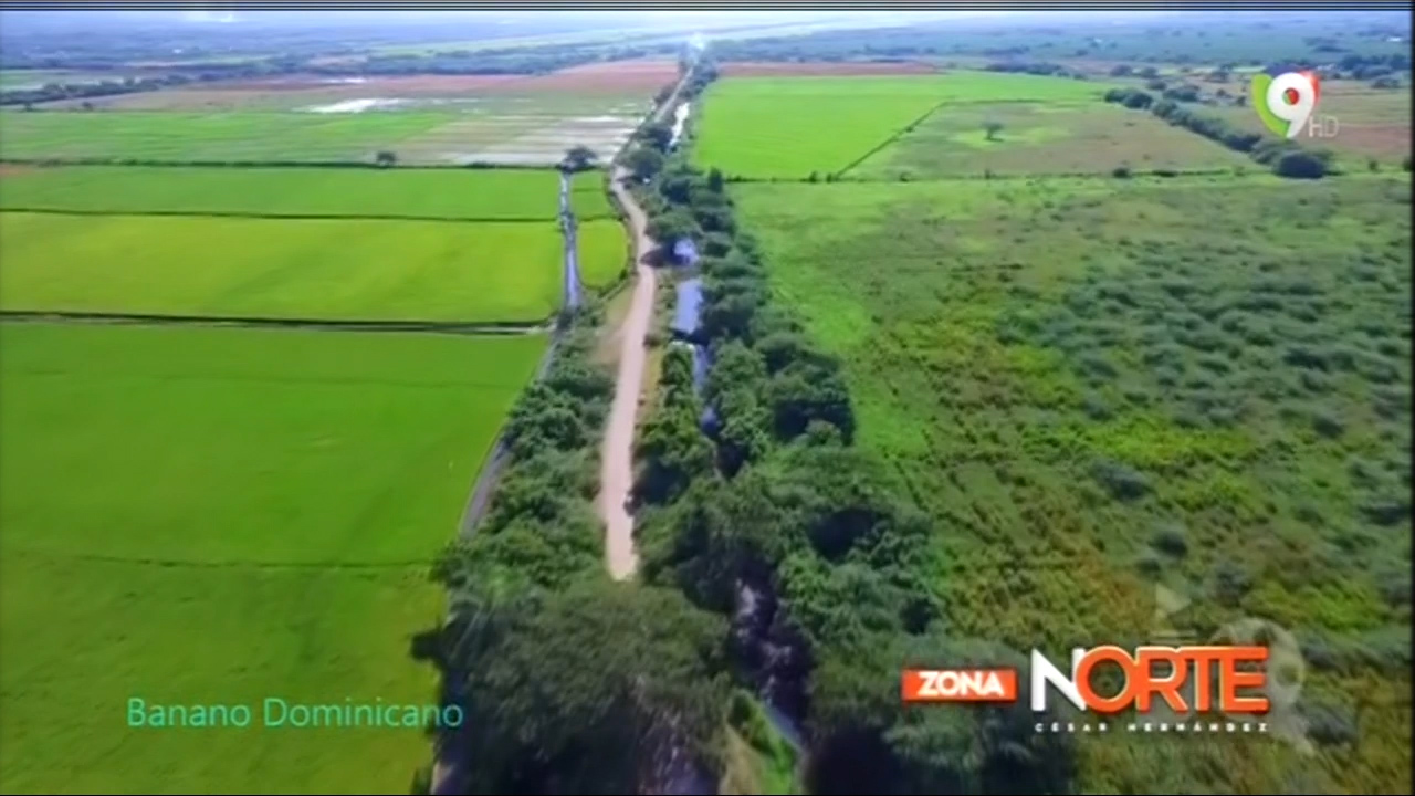 César Hernández: “Hay Que Recuperar El Mercado Del Banano A Nivel Internacional” – Zona Norte