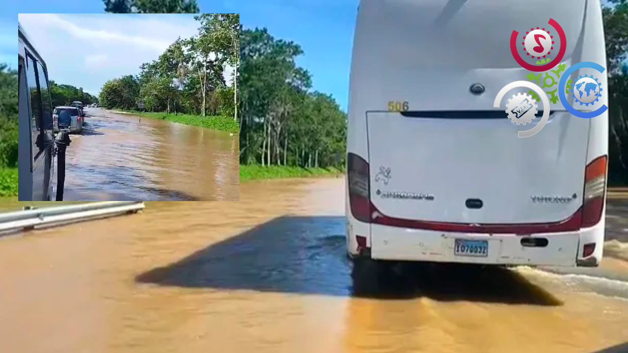 INCENDIO ARRASA AL NOROESTE DE ATENAS