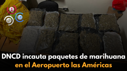 DNCD Incauta Paquetes De Marihuana En El Aeropuerto Las Américas