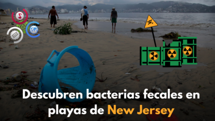 Descubren Bacterias Fecales En Playas De New Jersey