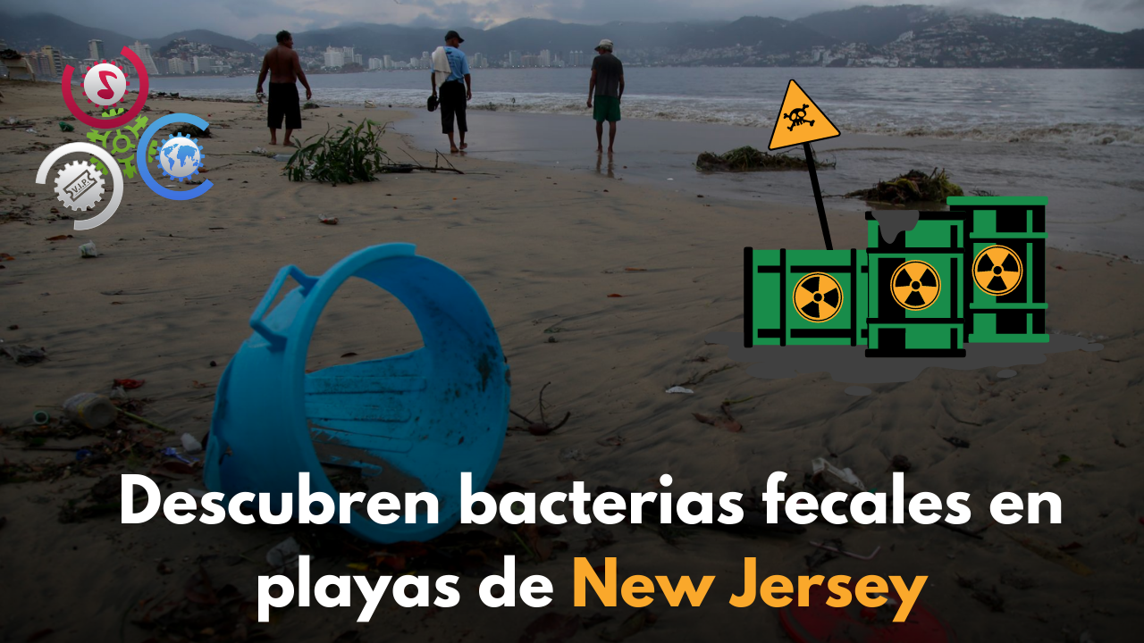 Descubren Bacterias Fecales En Playas De New Jersey