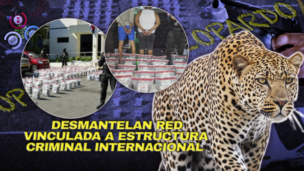 Ministerio Público Lanza La Operación Leopardo Y Decomisa 643 Paquetes De Cocaína En La Altagracia