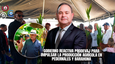 Ministerio De Agricultura Inicia Reapertura De PRODEVAJ Y Entrega Más De 100 Mil Plantas A Productores Del Sur