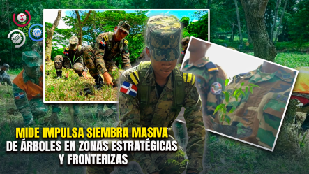 Ministerio De Defensa Inicia Jornada De Reforestación Con Más De 100 Mil árboles A Nivel Nacional