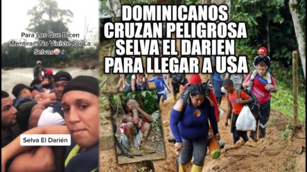 ¡Mira Como Los Dominicanos Cruzan La Selva Mas Peligrosa Del Mundo Para Llegar A EE UU!