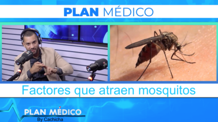 Mira Cuales Son Los Factores Que Más Atraen A Los Mosquitos | Plan Médico De Cachicha TV