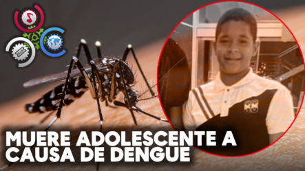 Muere Adolescente A Causa De Dengue