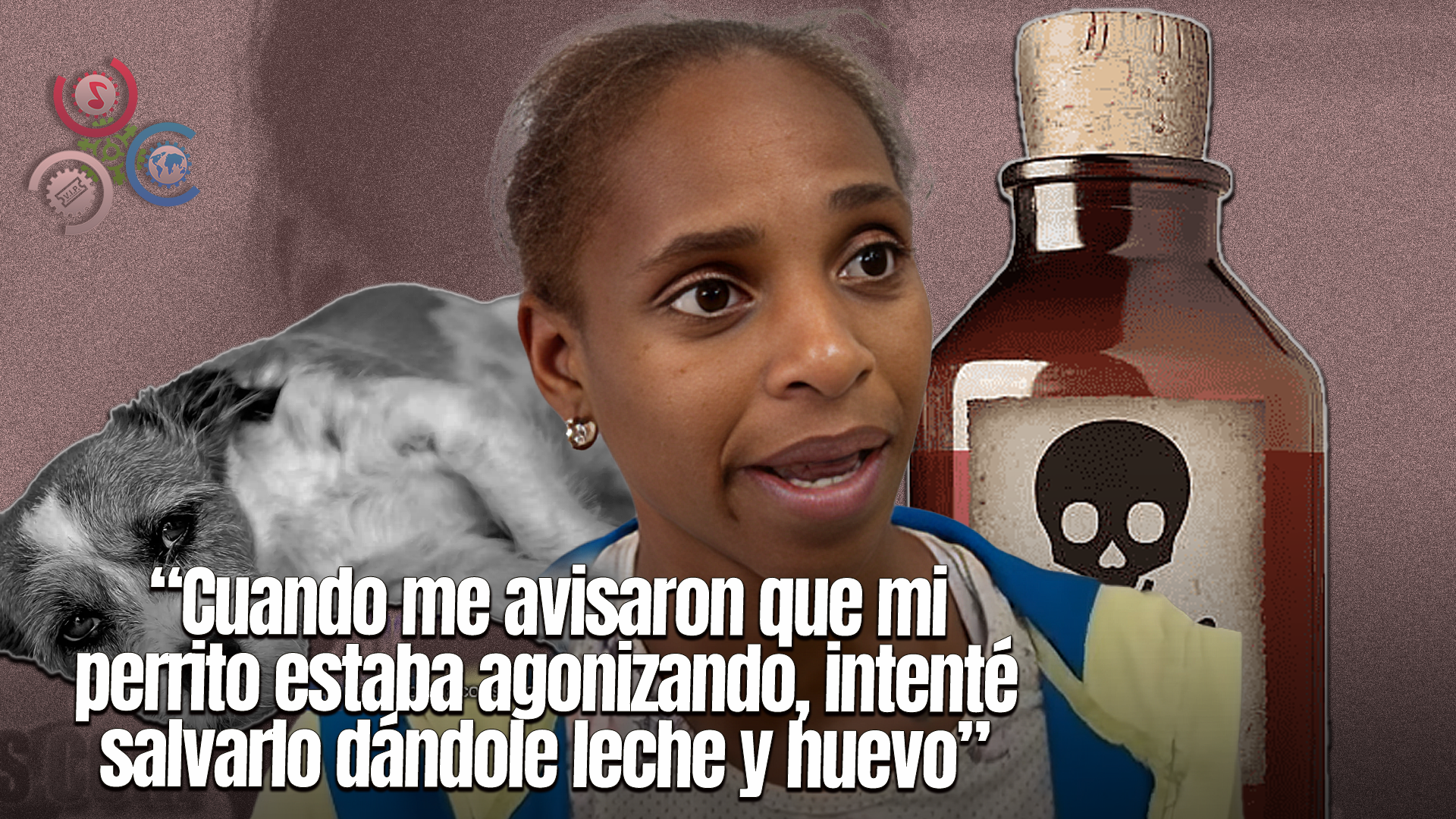 Mujer Denuncia Vecina Envenenó Su Perrito En SFM