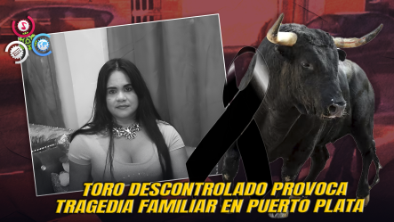 Mujer Muere Tras Ser Embestida Por Un Toro En Un Trágico Accidente Doméstico En Puerto Plata