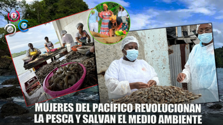 Mujeres Transforman Pesca Y Ambiente En El Pacífico Colombiano