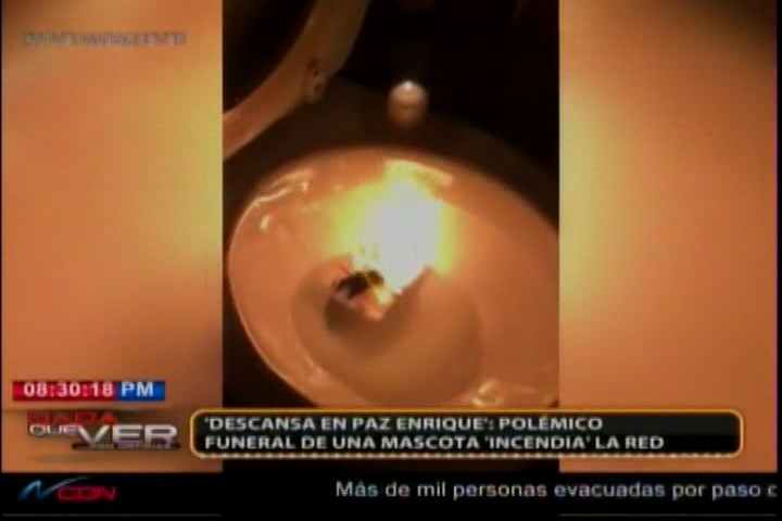 “Descansa En Paz Enrique”;  Polémico Funeral De Una Mascota ‘Incendia’ La Red