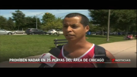 Prohíben Nadar En 25 Playas Del área De Chicago.