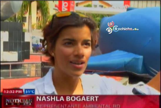 Nashla Bogaert Protesta Contra La Caza De Ballenas Que Vienen Al País #Video