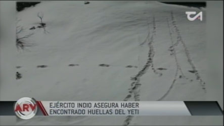 Hallan Huellas Del Abominable Hombre De Las Nieves