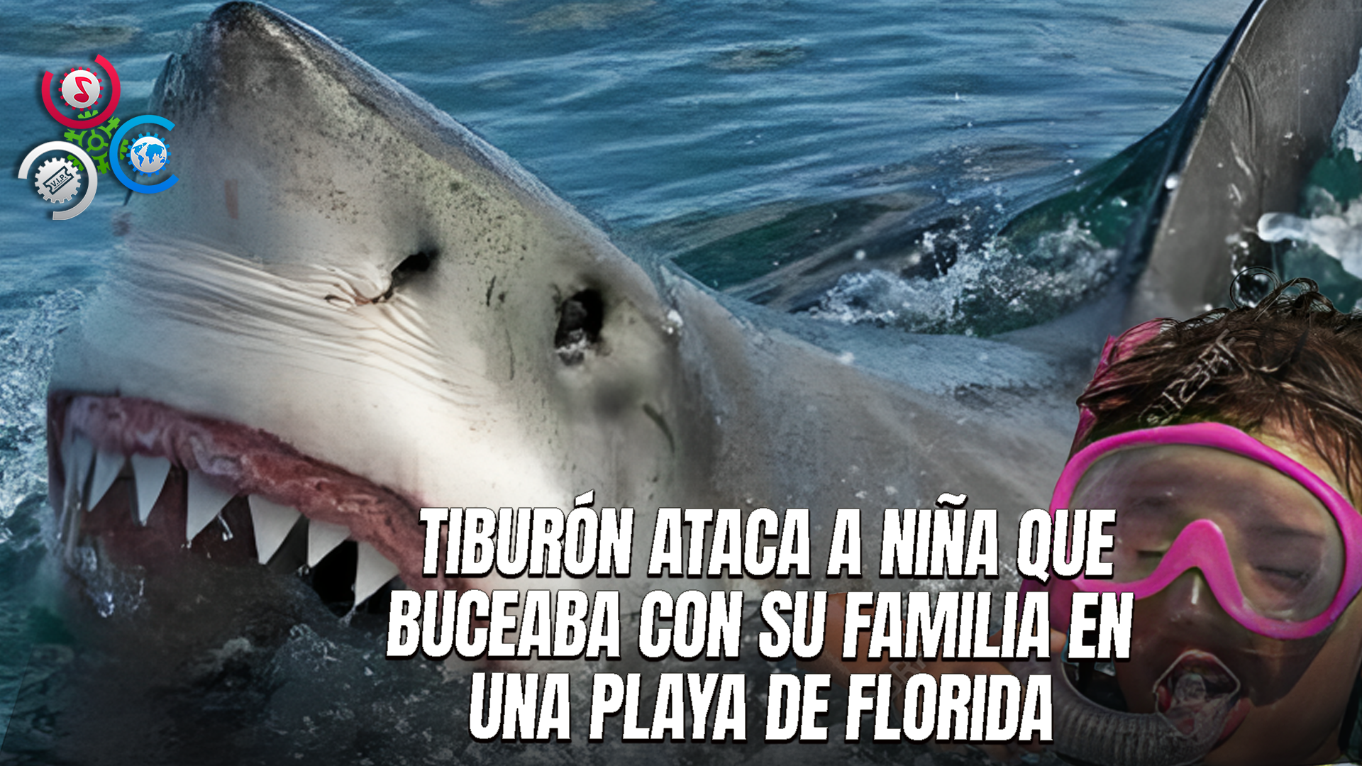 Niña De 9 Años Resulta Gravemente Herida Tras Ataque De Tiburón En Playa De Florida